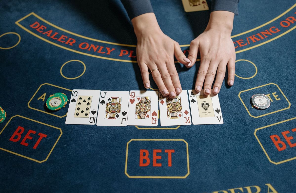 Horse Betting Calculator Live Casino